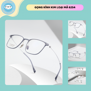 Gọng kim loại mã 6254